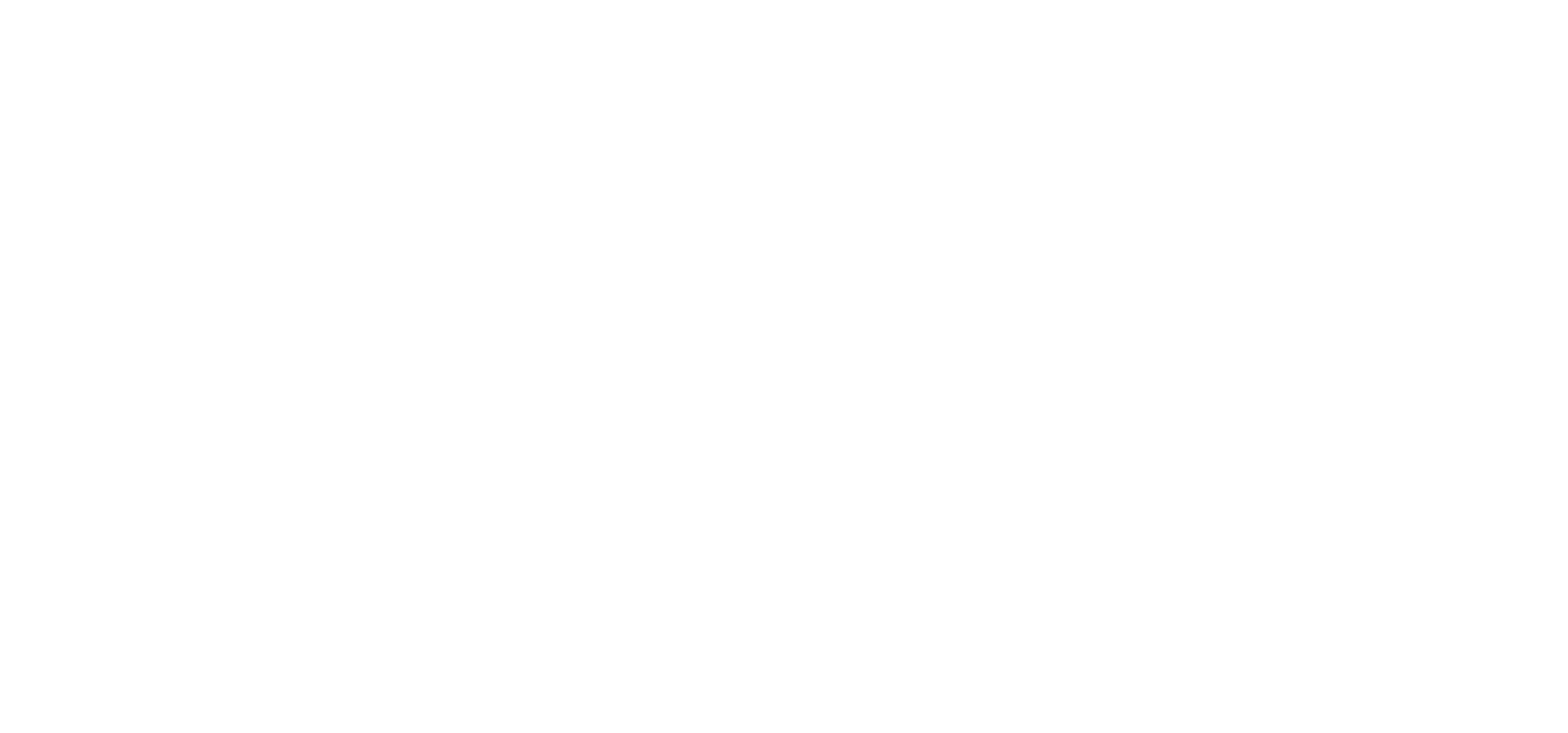 WCAG logo wit